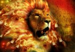 fire_lion_by_alex_barrera.jpg