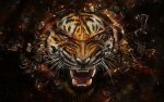 tiger-high-resolution-wallpapers-beutifull-desktop-background-photographs-widescreen.jpg