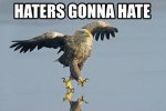 1295125-hatersgonnahate.jpg