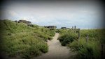 WW2 bunkers in holland.jpg