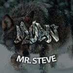 MR STEVE.jpg MR STEVE.jpg