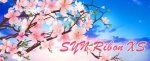 SYN Ribon XS.jpg