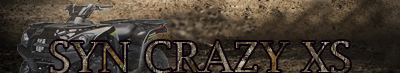syncrazyxs.png