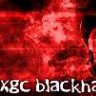 XGC Blackhawk x