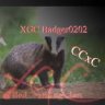 XGC Badger0202